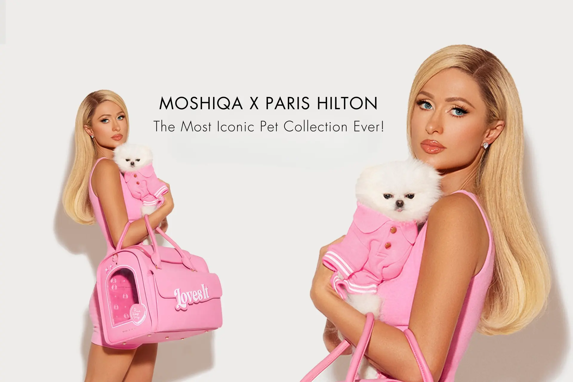 Elevate Your Pet's Style Game